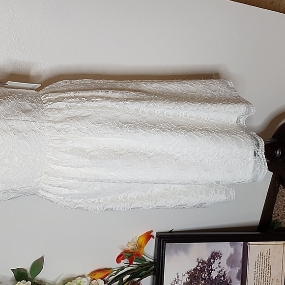 NEW Calvin Klein Ivory Lace Overlay Double Lining Dress Celeb Style Luxury Chic - Picture 5 of 16